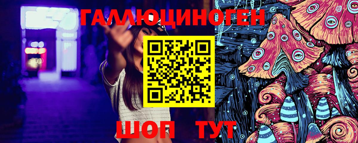 Псилоцибиновые грибы Psilocybe Уфа