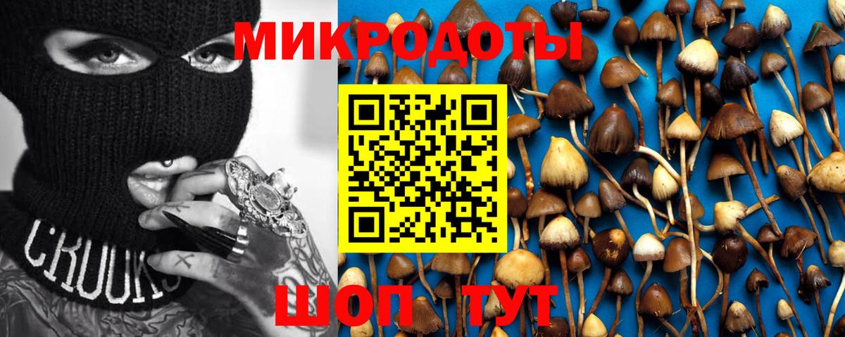 Галлюциногенные грибы MAGIC MUSHROOMS  цена   Уфа  Вход с VPN 